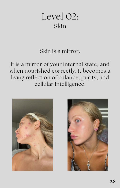 E-Book: Skinny, Sculpted & Transformative